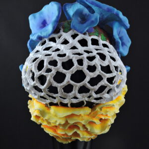Máscara casco Hongos