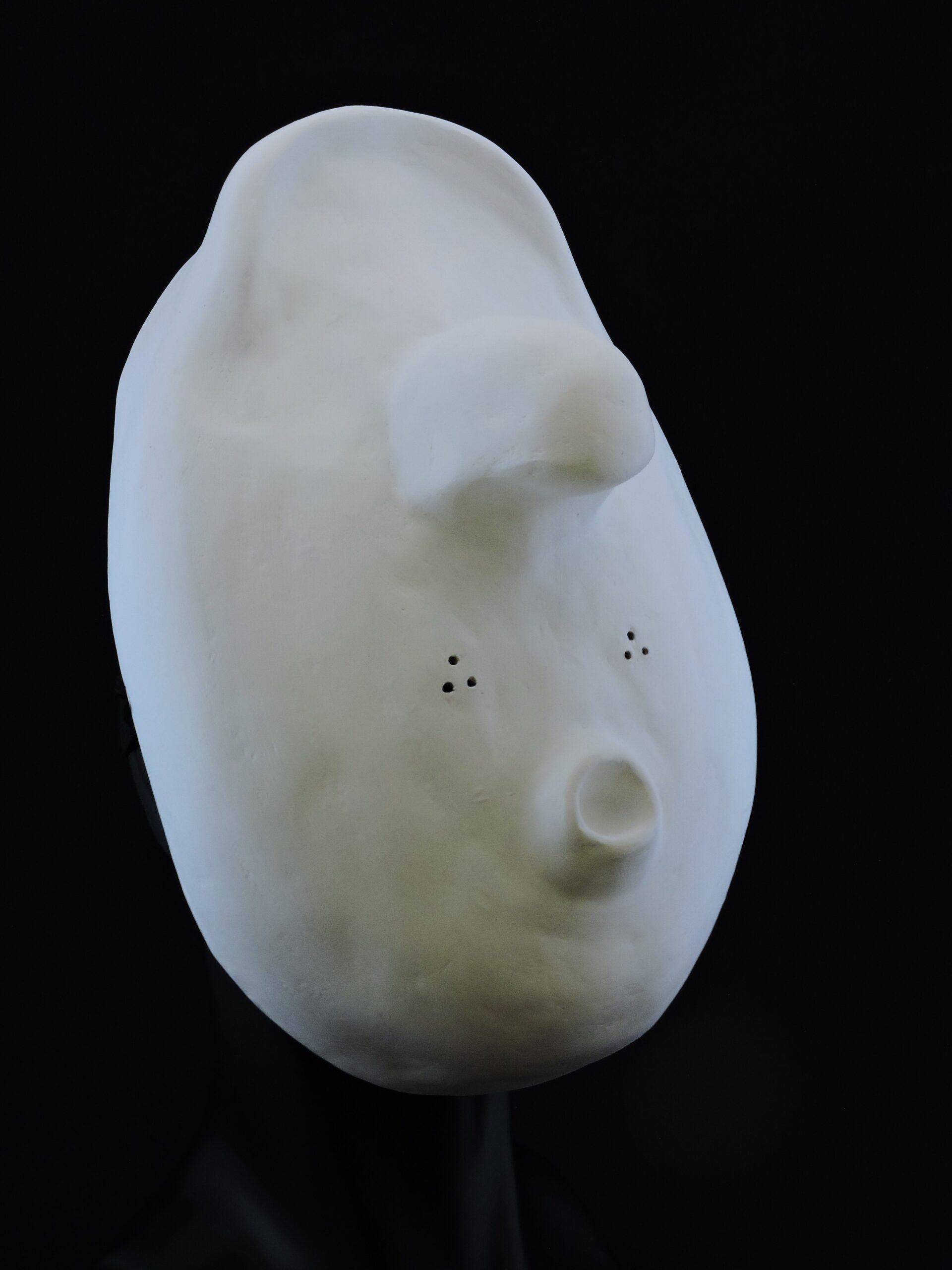Máscara Larvaria Lecoq 2 - Imagen 4