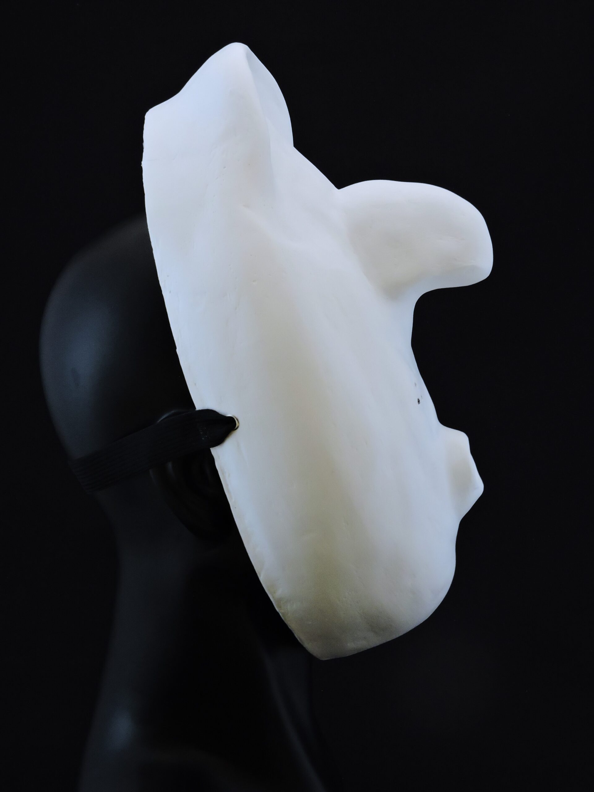 Máscara Larvaria Lecoq 2 - Imagen 5