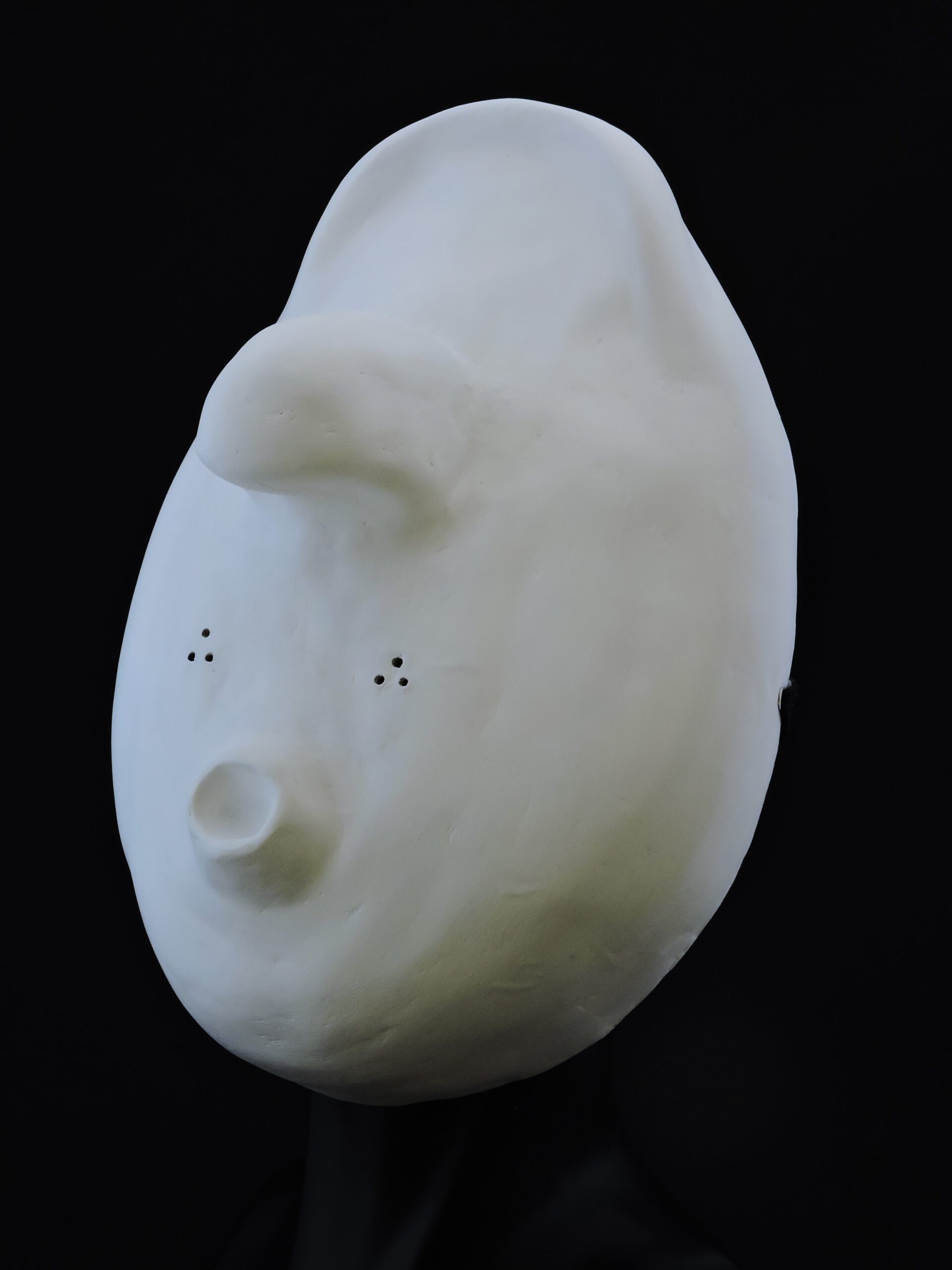 Máscara Larvaria Lecoq 2 - Imagen 2