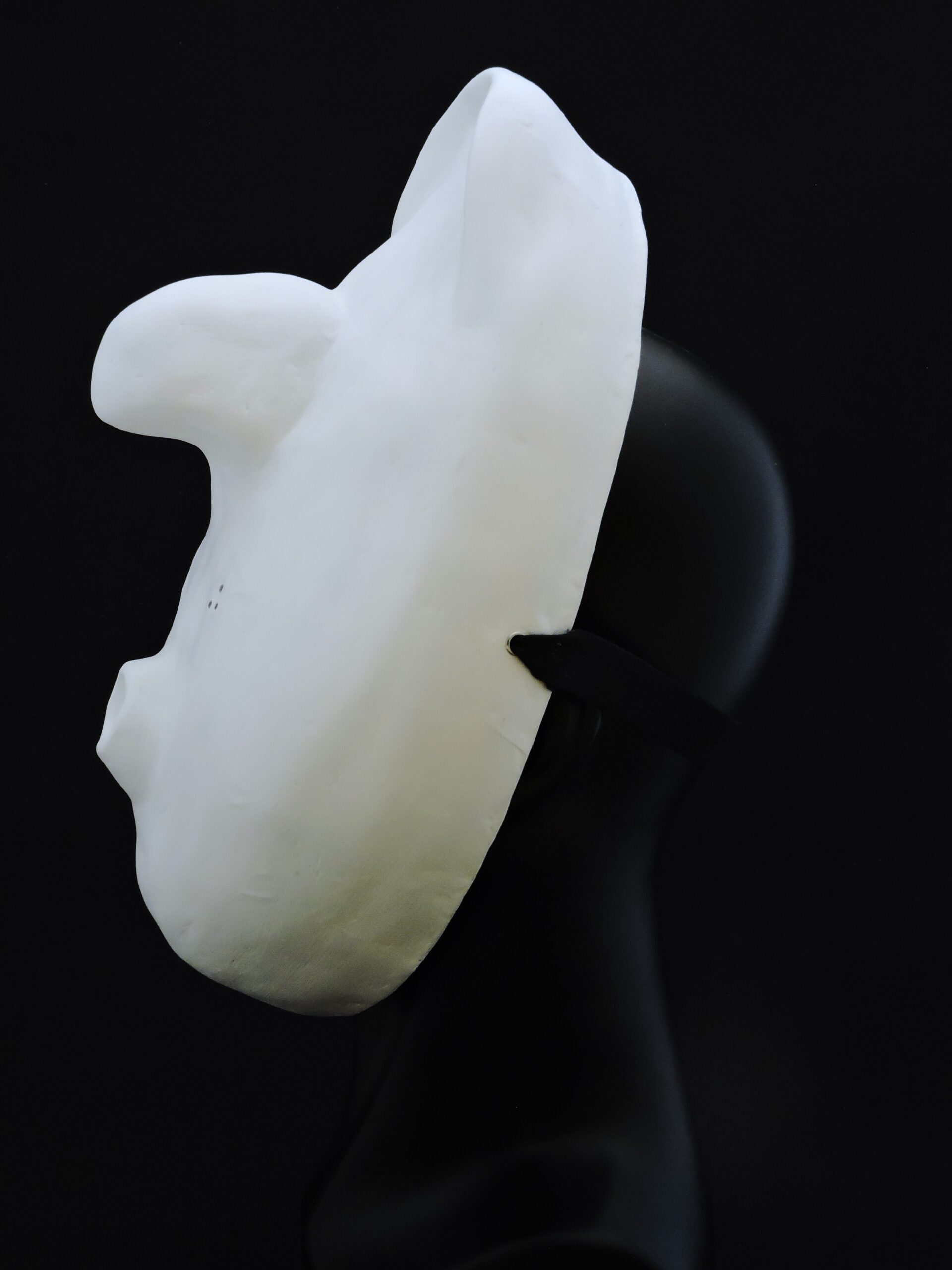 Máscara Larvaria Lecoq 2 - Imagen 3